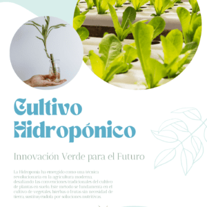 Portada Cultivo Hidropónico